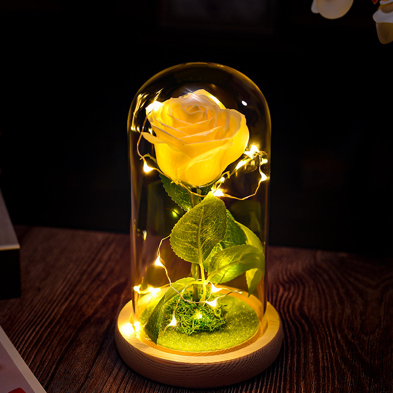 Romantic Rose Gift That Shines🌹